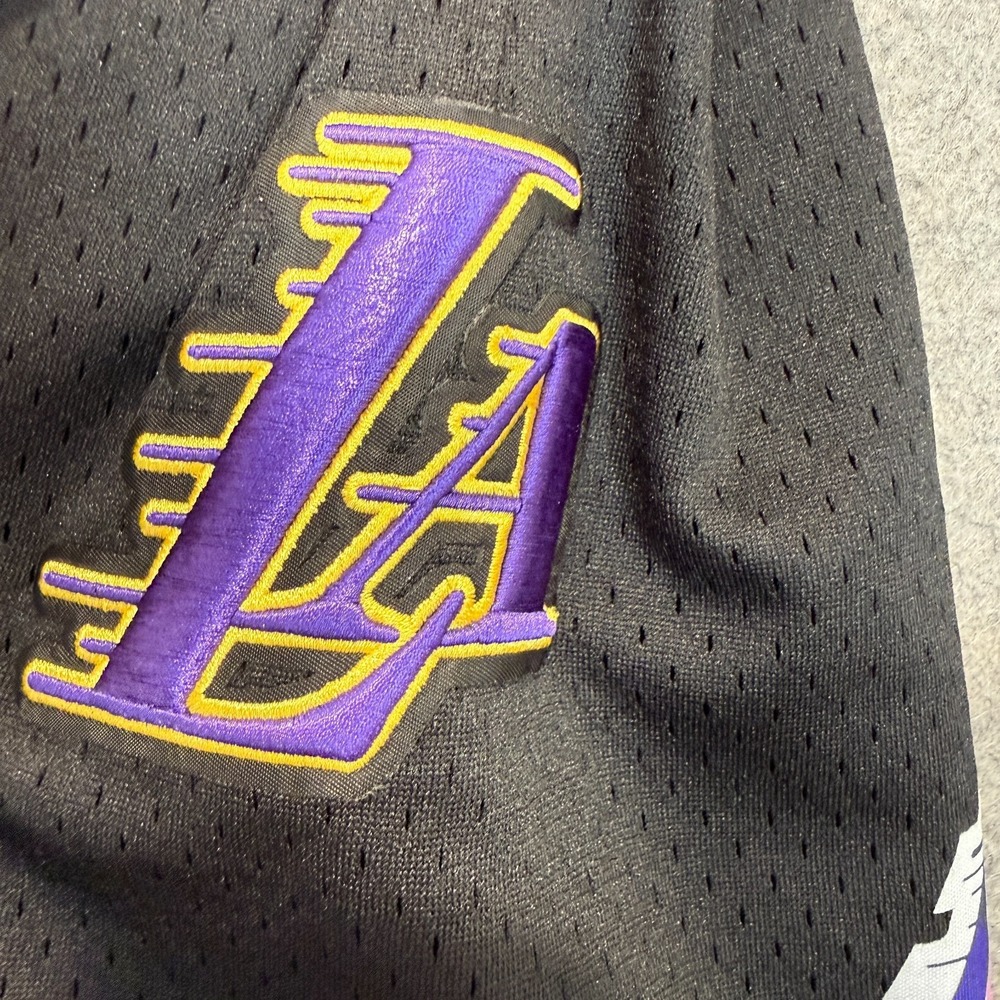 Pro Standard Los Angeles Lakers City Scape Sunset Mesh Shorts Large Heavyweight - Picture 11 of 16